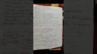 Handwrittennotes...#trendingshorts#song#geography
