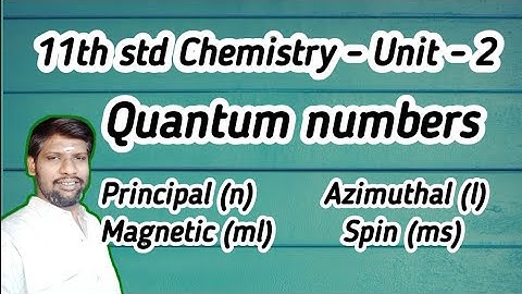Quantum numbers, Sub levels, and Atomic orbitals explained | Class 11 | Tamil - தமிழில்.