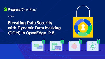 Elevating Data Security with Dynamic Data Masking (DDM) in OpenEdge 12.8