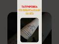 Татуировка со шпаргалкой #обществознаниеегэ #обществознание #егэобществознание