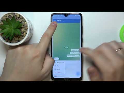 Telegram-Nachrichten lesen, ohne gesehen zu werden
