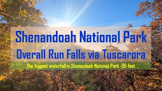 Overall Run Falls Trail Hike - The tallest waterfall in the Shenandoah National Park-4K