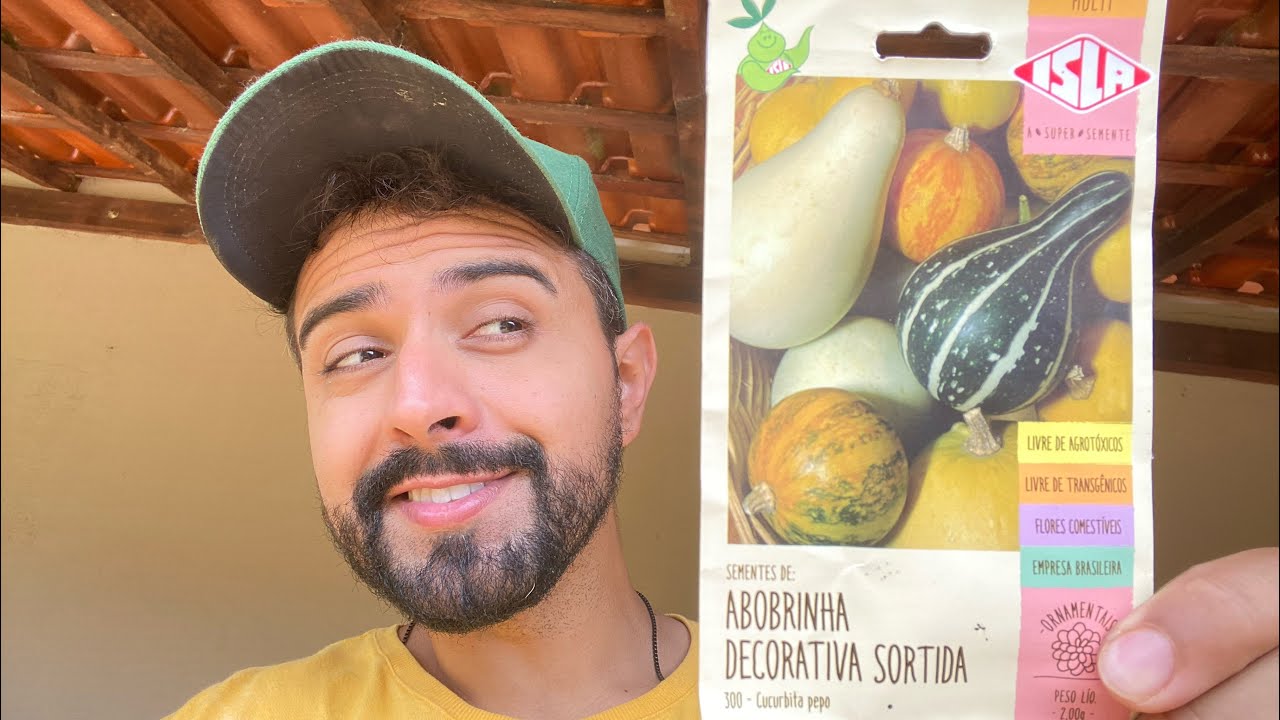 🎃 PLANTANDO ABÓBORA - QUIABO - MELÃO - ERVILHA | GUTIZGRILO