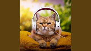 Musical Feline Pathway