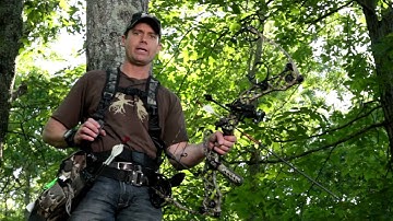 Vertical Bows: Tree Stand Bow Practice