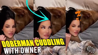 Doberman Cuddling With Owner in Bed as She Rubs His Hand