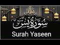 Surah yaseen ki tilawat ep36 by hafiz moshadab raza 00159 786 tilawat quran viral  