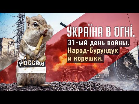 Россияне - народ-бурундук. Вторжение России в Украину. 31-ый день войны.