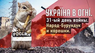 Россияне - народ-бурундук. Вторжение России в Украину. 31-ый день войны.