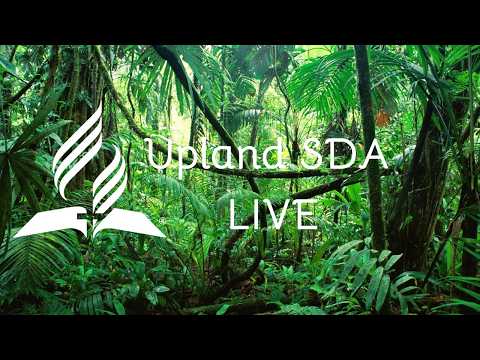 Upland sda Live