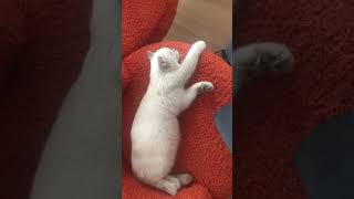 23 Kasım 2024 Resimi