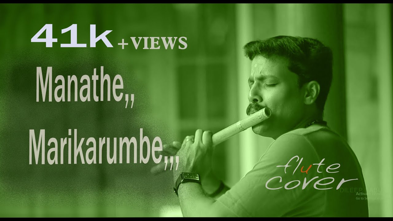 Pulimuruganmohanlalmanathemarikrumbeflute cover by Dileep babuB