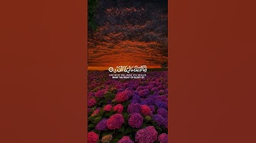 سورة القدر كاملة بصوت وديع اليمني 🎧😌