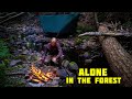 Alone In The Forest - Solo Camping