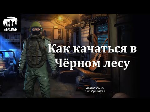 Как качаться в Черном лесу в Сталкер Онлайн