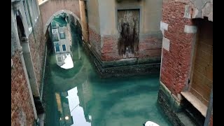 Limpios y sin desechos lucen los canales de Venecia tras la cuarentena y ausencia de turistas