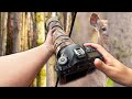 Spring nature and wildlife photography  forest hike pov