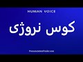 How To Pronounce کوس نروژی 