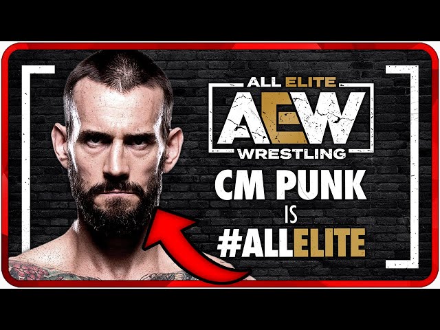 CMパンク DVD IWA 26枚 WWE AEW 新日本プロレス