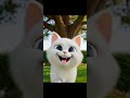 #videos #cat #viralvideo #cartoon #trending #youtuber #youtubeshort #fyd #viral #cartton #shortvide