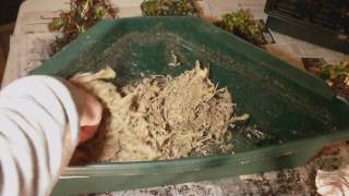 How to Make a Minibog