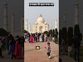 ताजमहल की यह बातें आप भी जानते होंगे || Hidden Secret About Tajmahal #shorts #vlog #facts #tajmahal