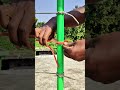 Believe it! 99% People Don’t Know This Rope Knot