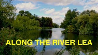 River Lea Walk from Rye House to Hertford (4K)