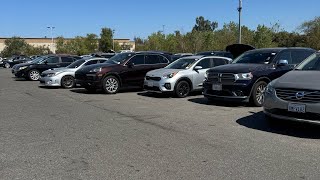 Auction Day Adventure: Scoring Cars at Unbeatable deals