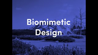Biomimetic Design | urbanNext Lexicon