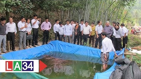 Tân Trụ: Tổng kết sản xuất nông nghiệp, thủy sản 2014 | LATV