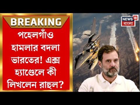 Sochli ayolning it uslubidagi mushuki bilan yaqindan surati