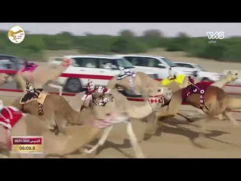الشوط 4 الوسمية ل سالم سيف كليب الكتبي 9 10 07 مهرجان الشيخ محمد بن زايد 2023 1 5 ثنايا التلة
