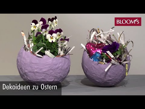 Video: Grow A Living Easter Centerpiece – Auswahl von Blumen für den Ostertisch