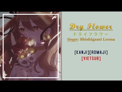 【Vietsub + Romaji】Dry Flower 『ドライフラワー』- Yuuri | Cover | Shishigami Leona (Re:AcT)