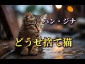 ハン・ジナ ♪どうせ捨て猫