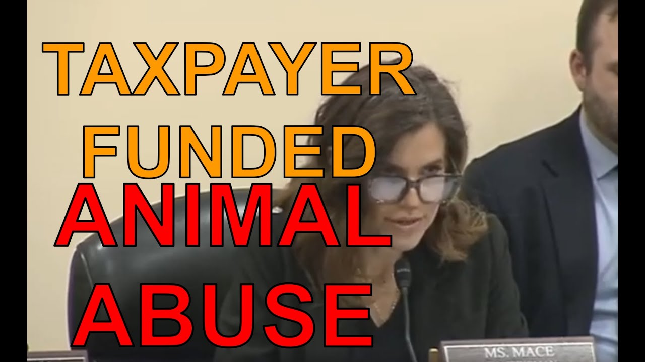 Government Approved MASSIVE Animal CRUELTY