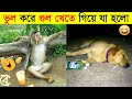        funny animals 2022 part3  mayajaal