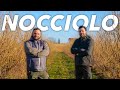 POTATURA DEL NOCCIOLO - un esperto spiega tutti i trucchi