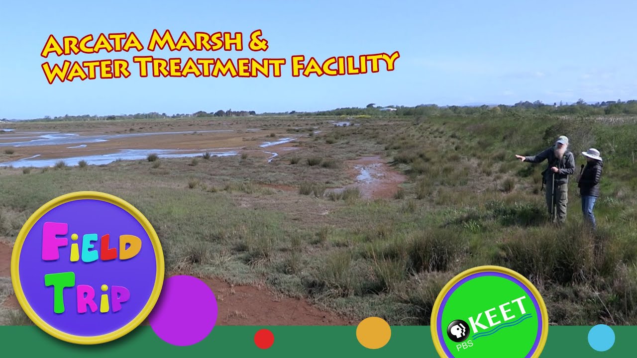 Arcata Marsh & Water Treatment Facility - Field Trip - Episode 9