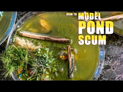 How to Model Pond Scum