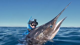 I Love Eating Marlin | An Ethical Dilemma Net Worth