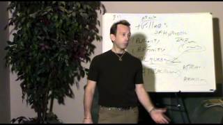 Hypnosis Training - Covert Hypnosis Principle - "Attractivity"