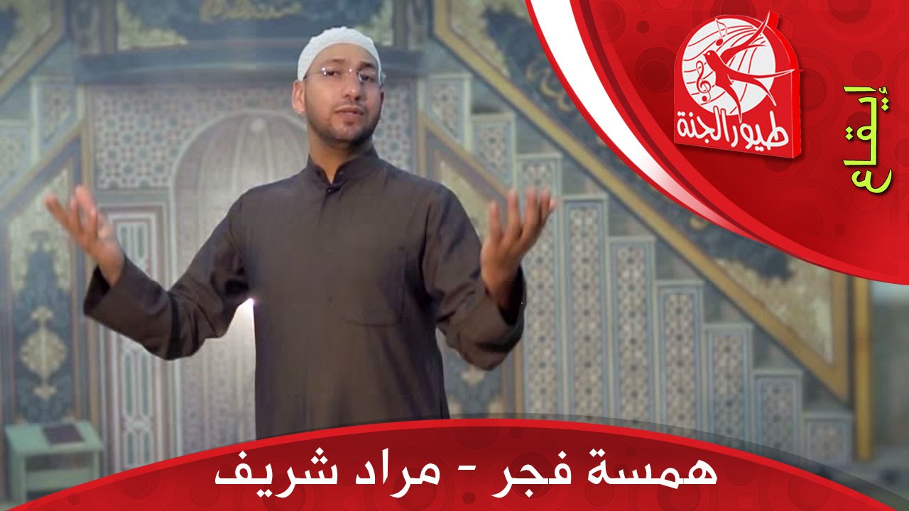 همسة فجر - مراد شريف | طيور الجنة