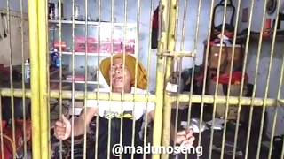 PERGI APA LU CORONA HET DAAAAAH