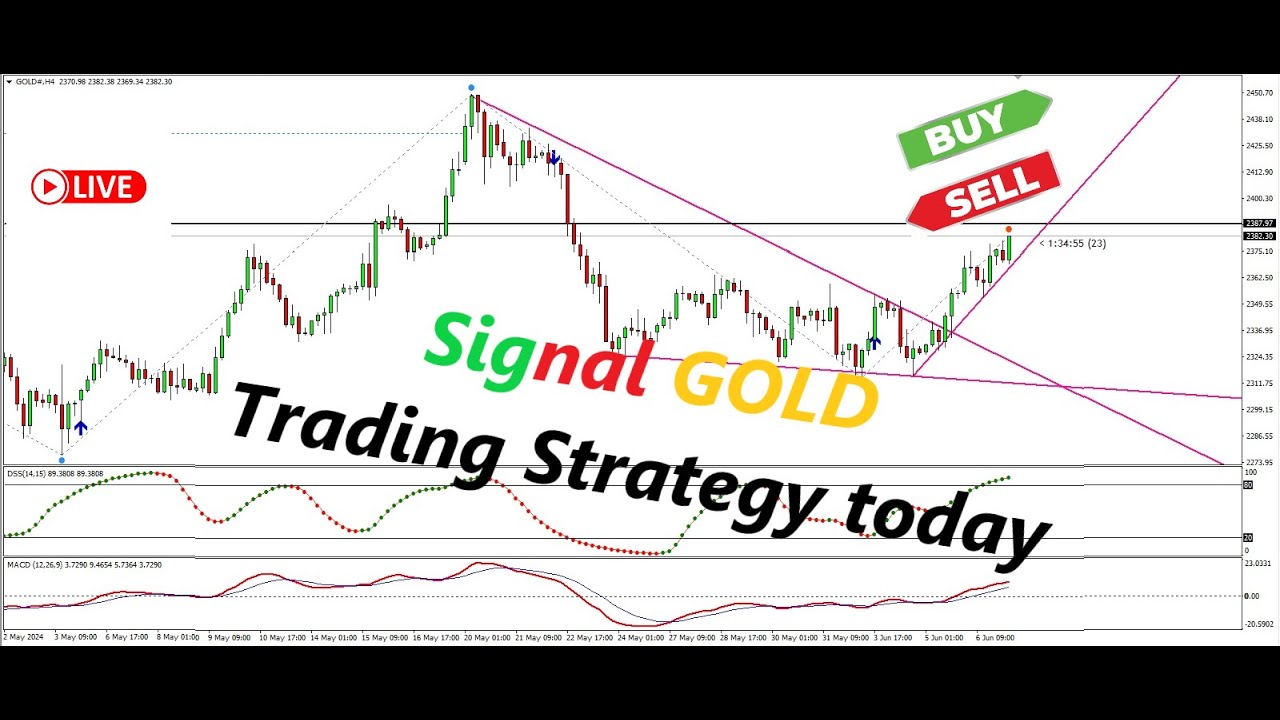 Live Signal GOLD Trading Strategy today - YouTube
