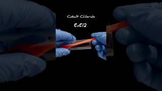 We start with Cobalt Chloride (CoCl_2) crystals #sciencefacts #nextgenscience #facts #scifact