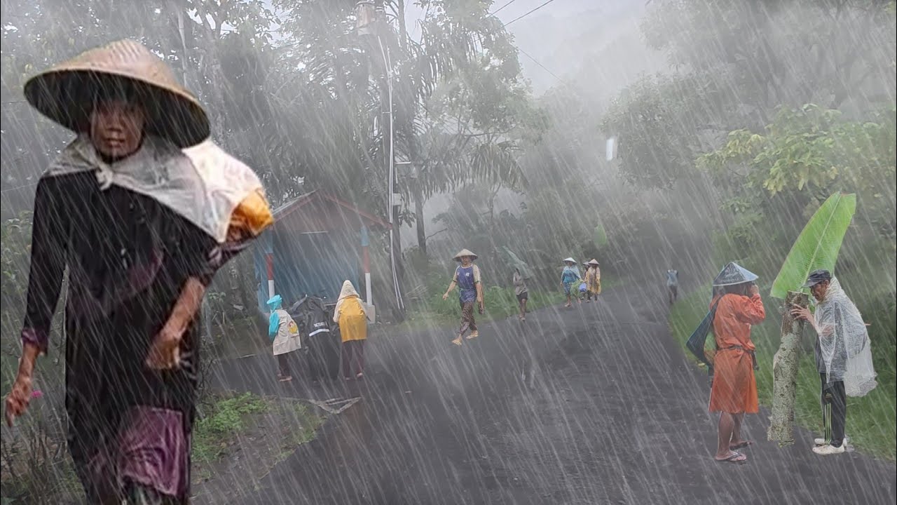 Сильный дождь, сильный ветер, густой туман и гром | Прогулка под дождем повлияла на сельскую жизн