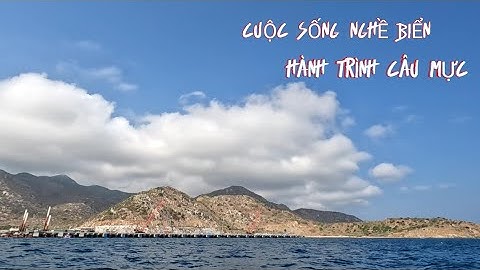 Câu Mực Đêm , Câu Trúng Mực Ống Lớn , Mực Thước , Giữa Biển Khơi