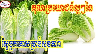 គុណប្រយោជន៍ល្អៗនៃស្ពៃបូកគោសម្រាប់សុខភាព!/The health benefits of cabbage plus beef
